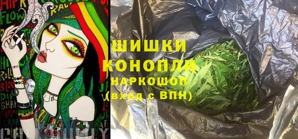 прущие грибы Армянск